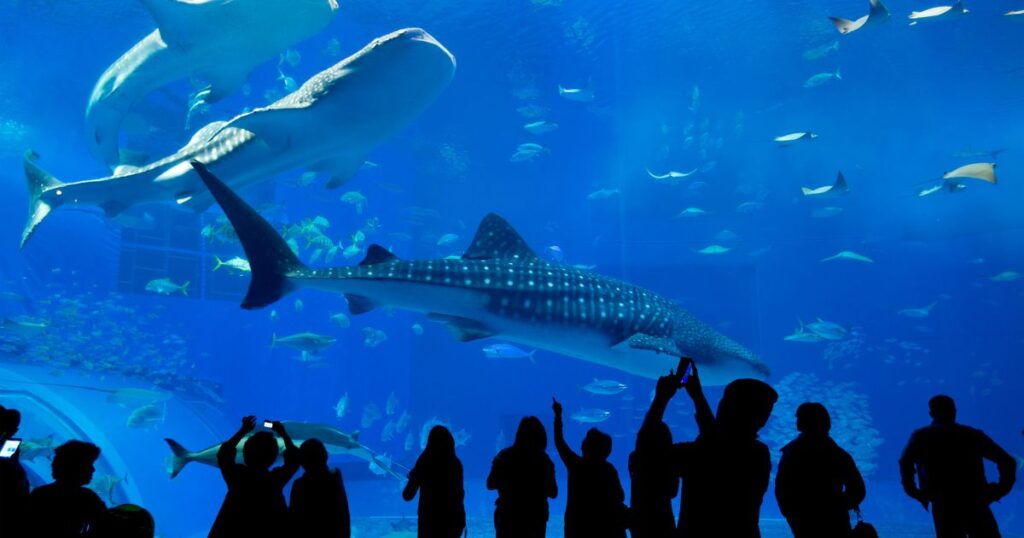 水族館