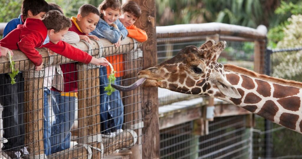 動物園